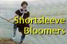 Bathing Dress Shortsleeved Bloomered