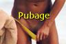 Pubage