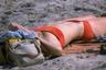 Beach Bikini Hairage