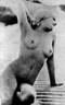 Jean Harlow Beach Nudes